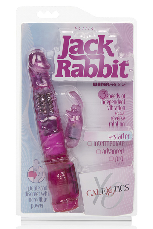   Petite Jack Rabbit